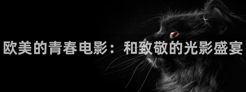裸眼3d弧幕轨道影院：欧美的青春电影：和致敬的光影盛宴