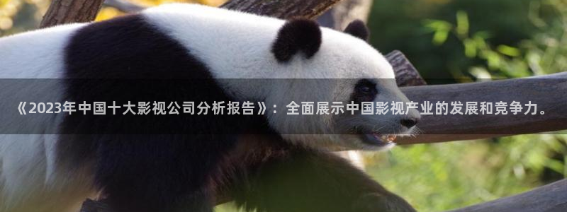 轨道影院av：《2023年中国十大影视公司分析报告》：全面展示中国影视产业的发展和竞争力。