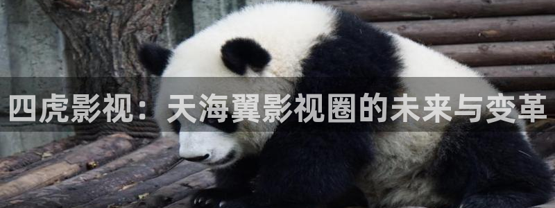 轨道电影网
