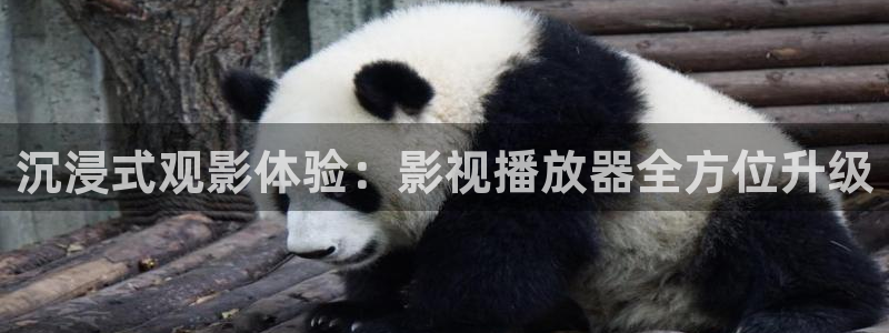 9d环幕轨道影院