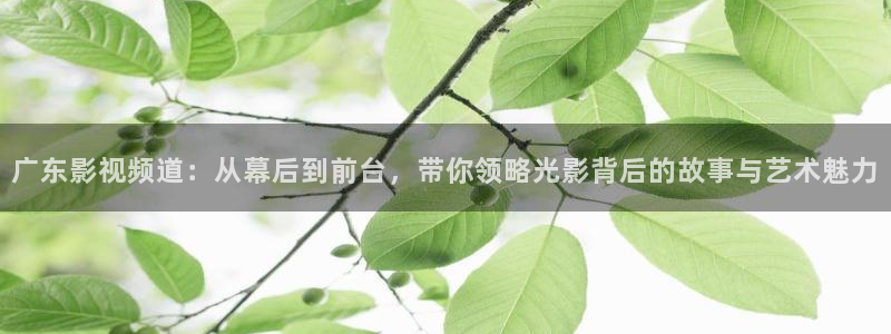 9d环幕轨道影院